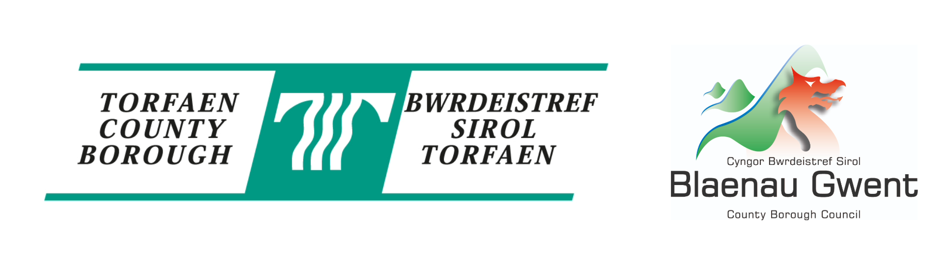 Torfaen_Blaenau_Gwent_joint_roles_logo.png